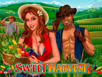 Sweet Harvest