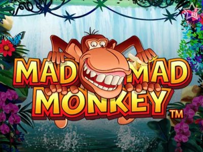 Mad Mad Monkey