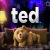 Ted Megaways